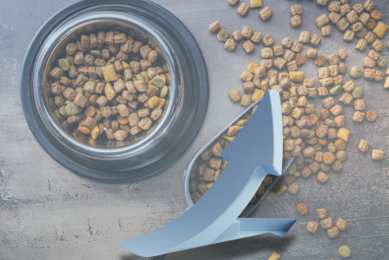 Rosstat also reported a 7.4% increase in pet food production in 2024, reaching 1.5 million tonnes. Photo: Canva