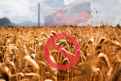 The project's goal was to ensure that the Slovak Republic does not produce and introduce GMO-containing agricultural and food products. Photo: Canva