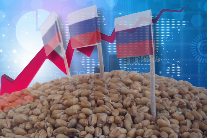 In 2024, Russia produced 128.8 million tonnes of grain, 13% down compared with the previous year, the Russian Agricultural Ministry calculated. Photo: Canva